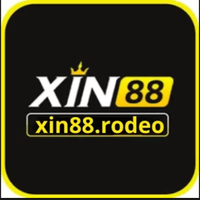 xin88rodeo