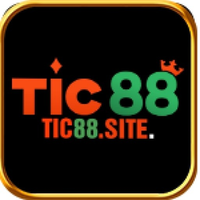 tic88site