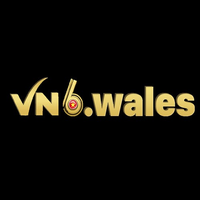 vn6wales