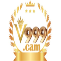 v999cam