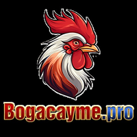 bogacaymepro