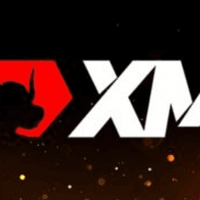 xmforexviet