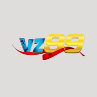 vz99solutions