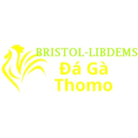 dagabristollibdems